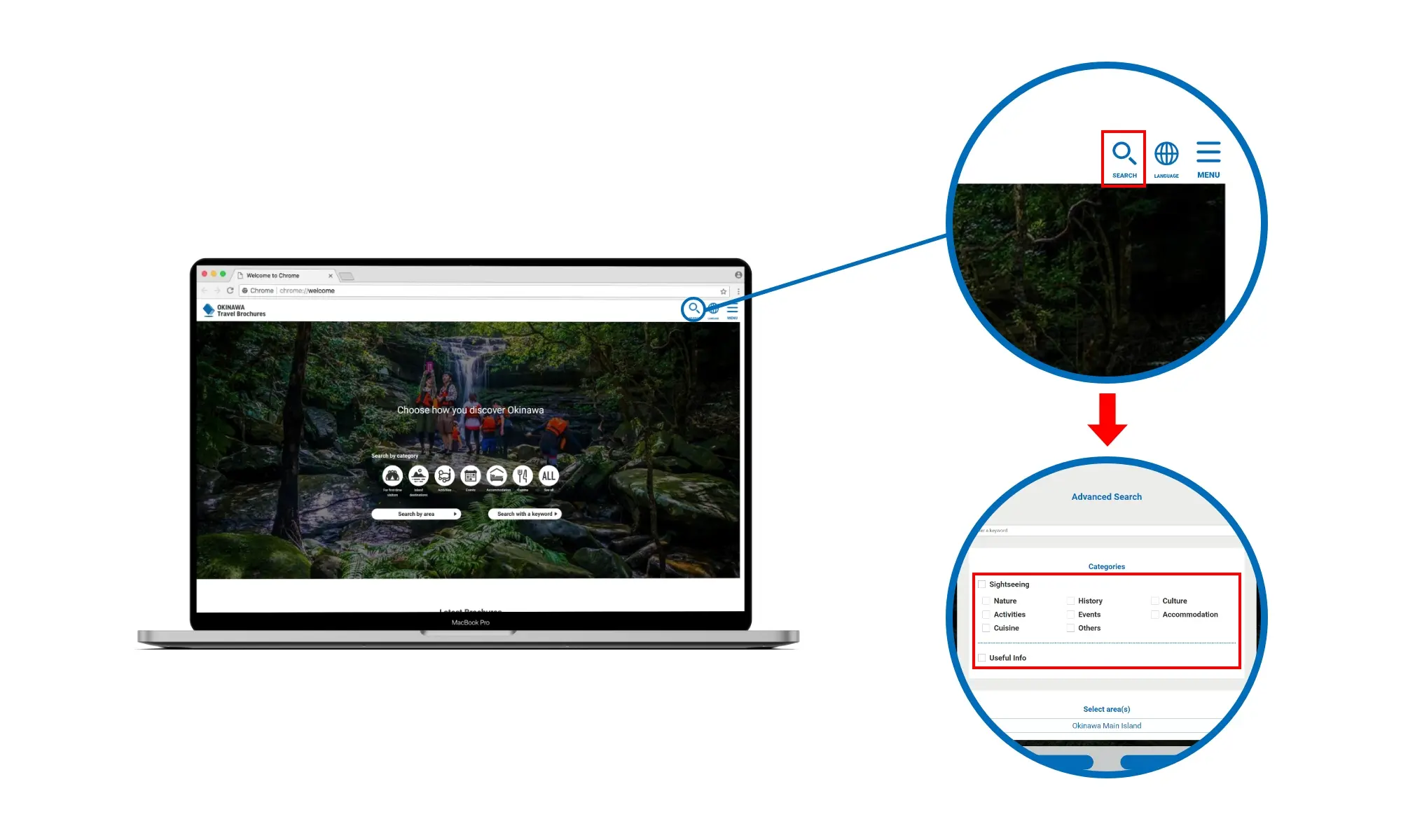 Search for pamphlets:Search using the search field